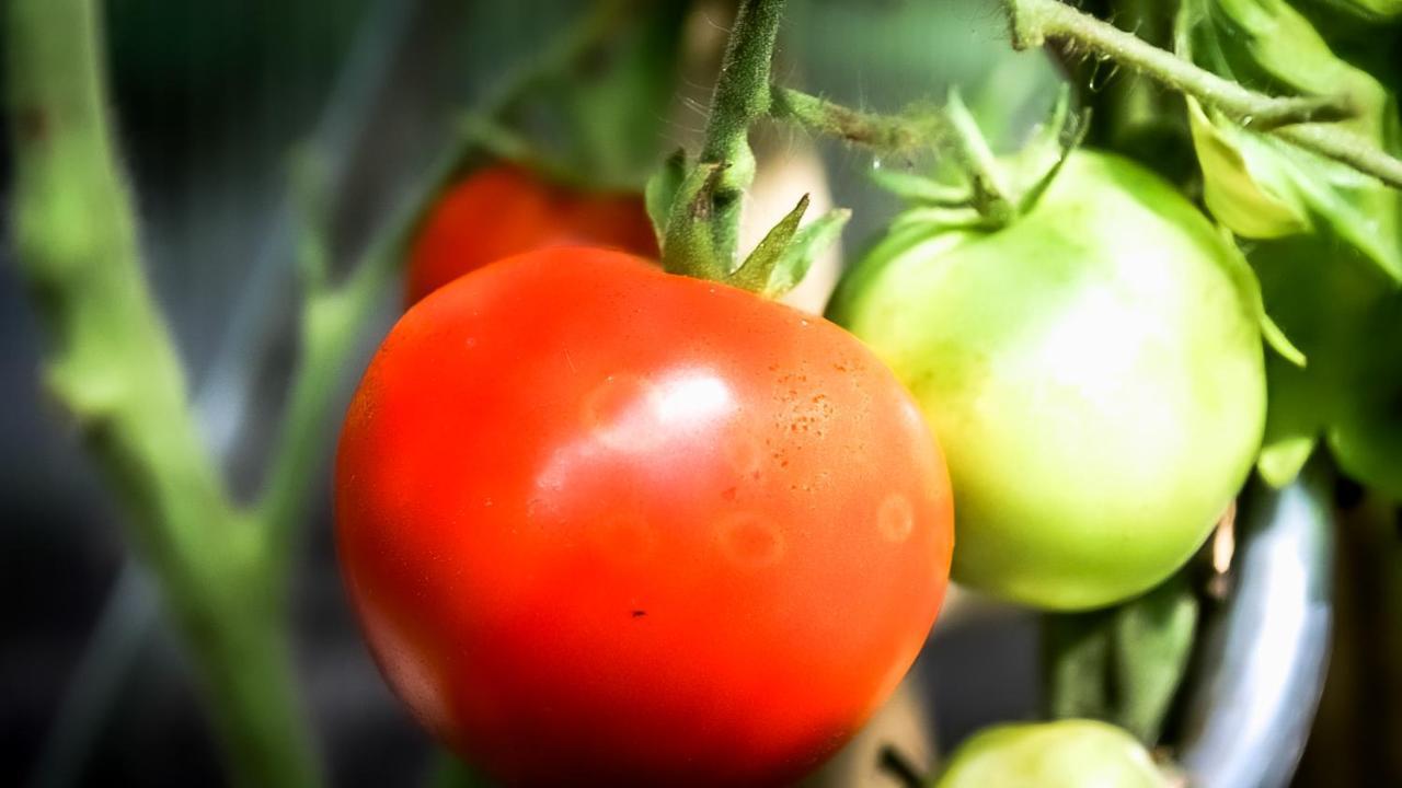 Ferienwohnung - A Auszeit Neumarkt in Steiermark Luaran gambar
